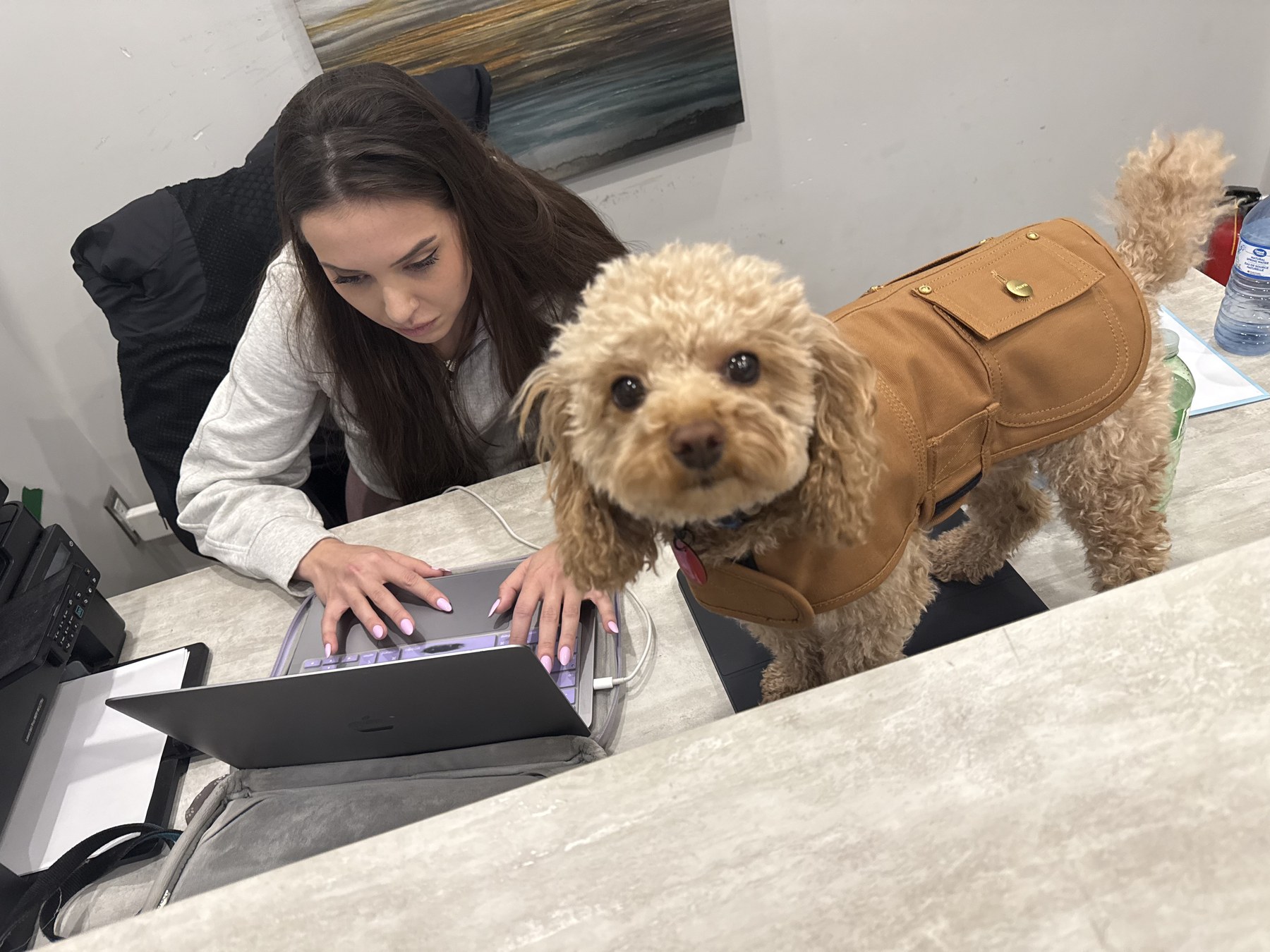 Meredith Parry working at her desk with her little dog.